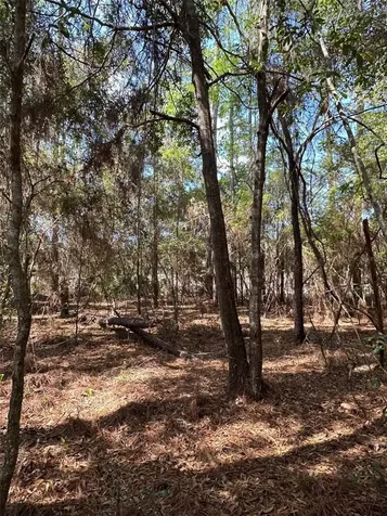 0 Courlan Road Brooksville FL 34614