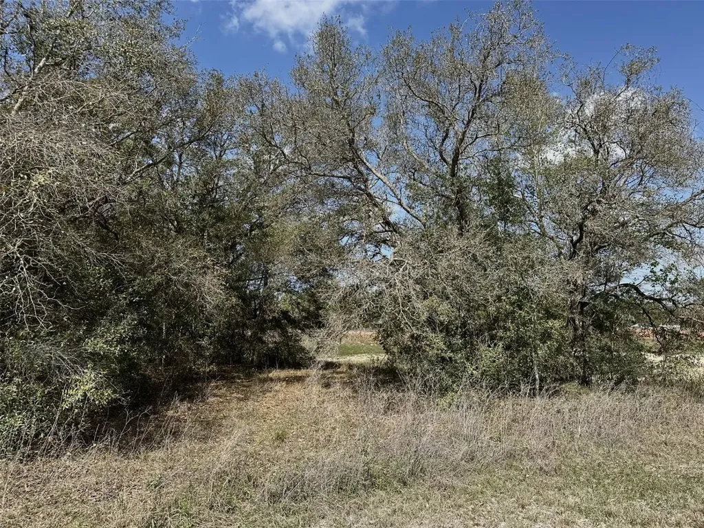 0 Courlan Road Brooksville FL 34614