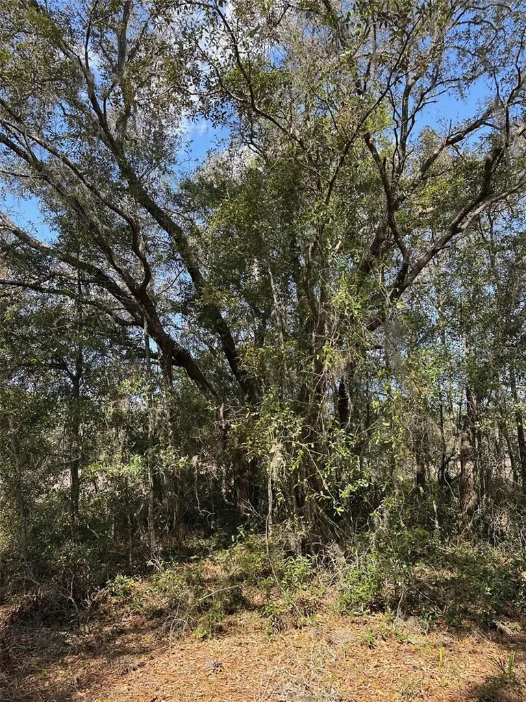 0 Courlan Road Brooksville FL 34614
