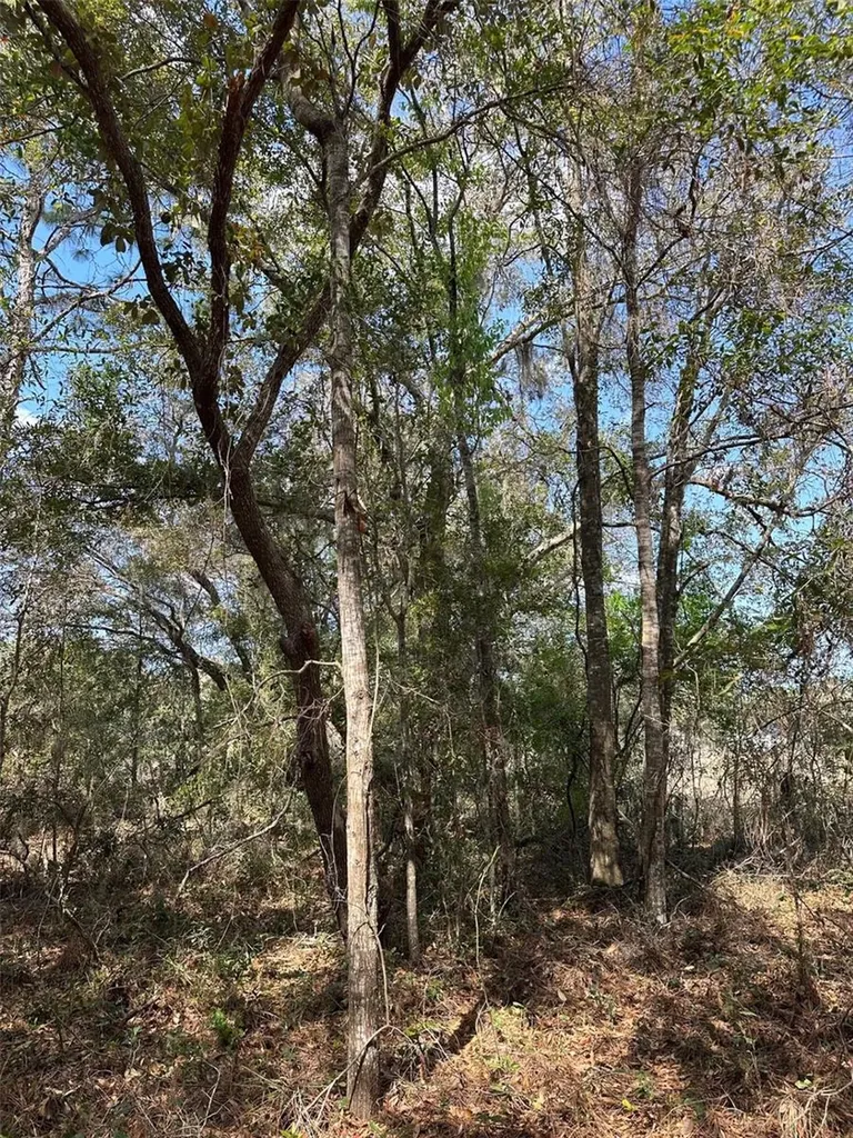 0 Courlan Road Brooksville FL 34614