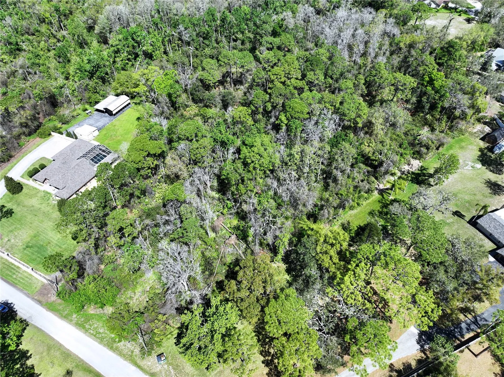 Red Oak Loop New Port Richey FL 34654