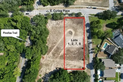 East Curlew Place & Lillian Avenue Tarpon Springs FL 34689