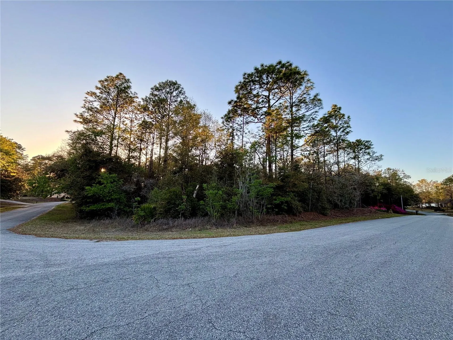 Lot 33 SW 97 Place Dunnellon FL 34431