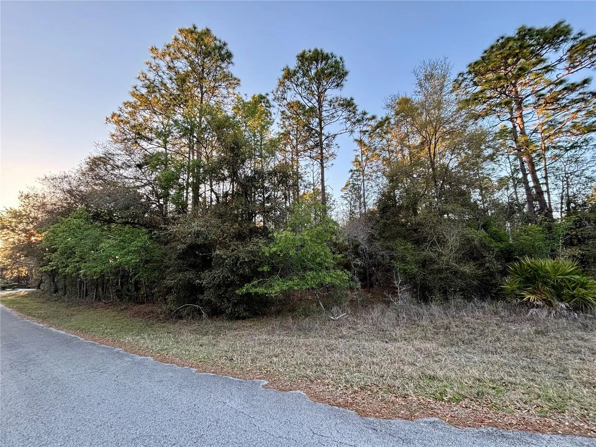 Lot 33 SW 97 Place Dunnellon FL 34431