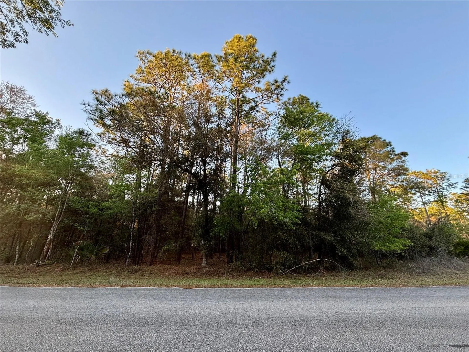 Lot 33 SW 97 Place Dunnellon FL 34431