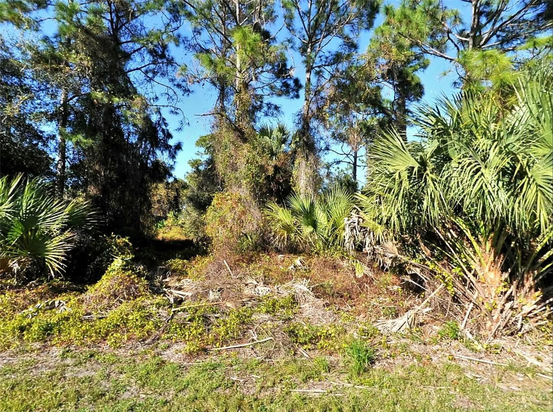 Lot 24 Renfro Avenue North Port FL 34286