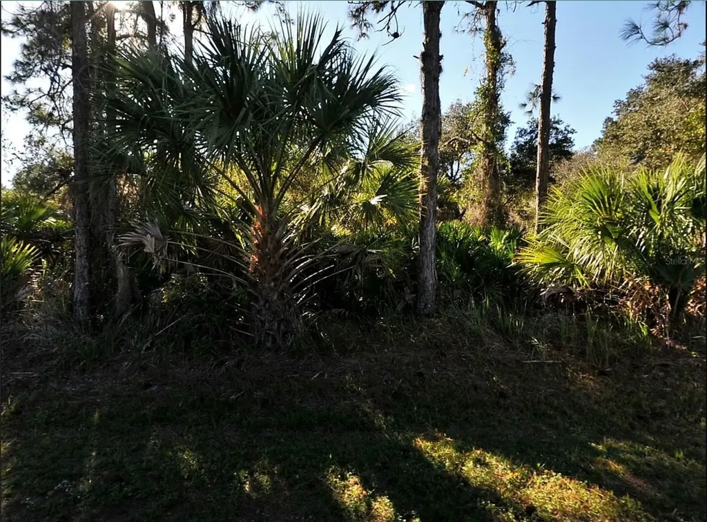 Lot 17 Ruiz Street North Port FL 34286