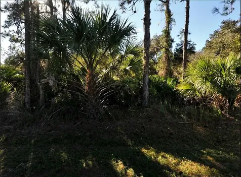 Lot 17 Ruiz Street North Port FL 34286
