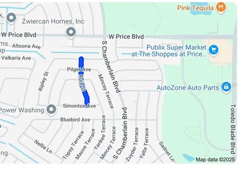 Lot 17 Ruiz Street North Port FL 34286