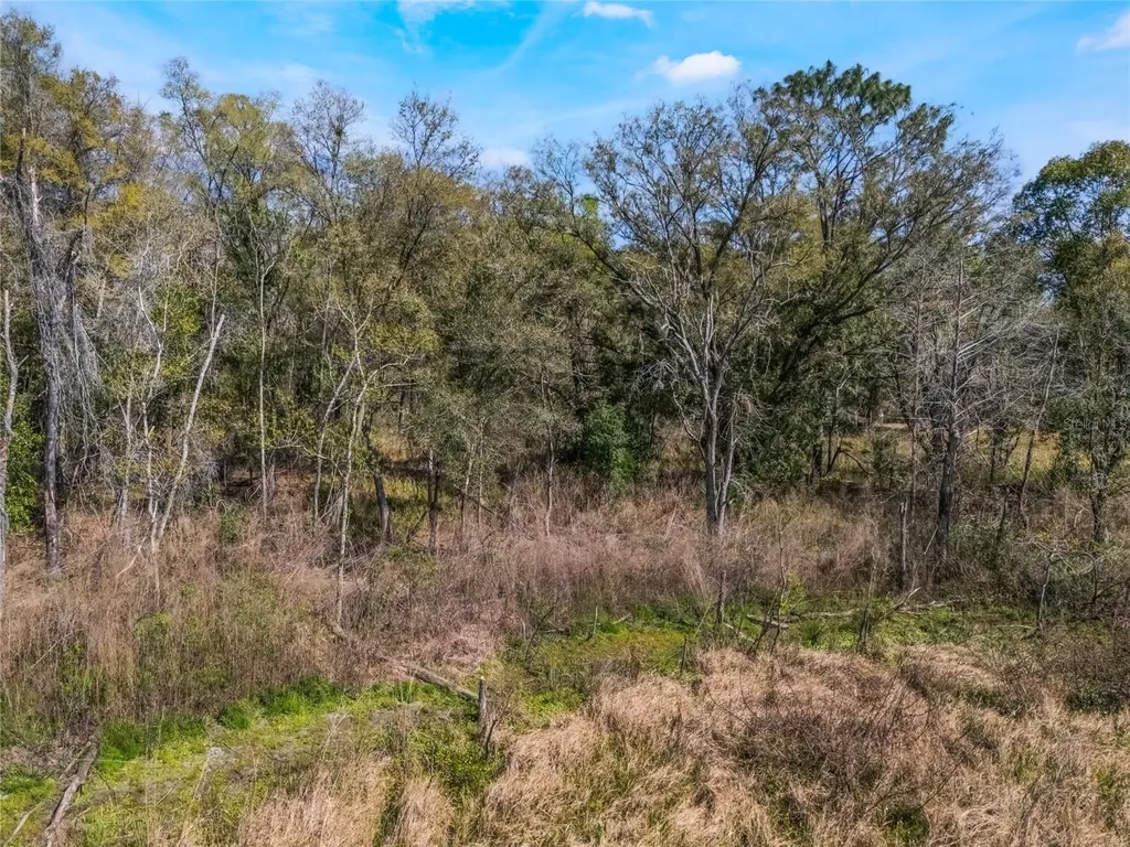 2208 Eisenhower Street Inverness FL 34453