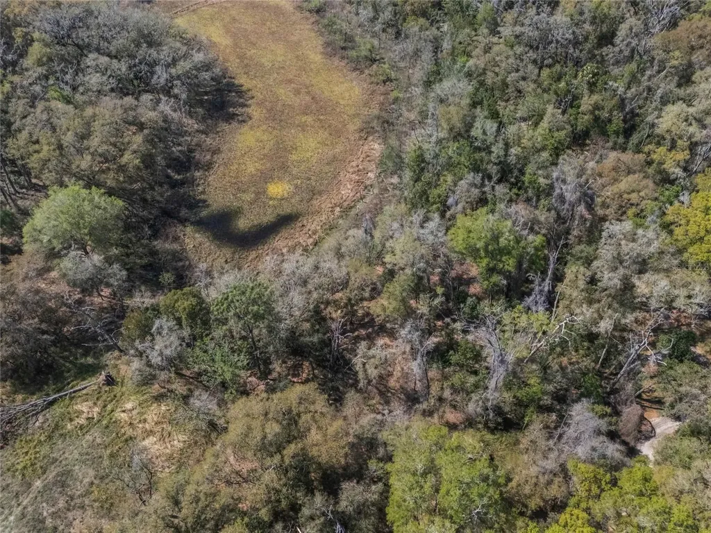 2208 Eisenhower Street Inverness FL 34453