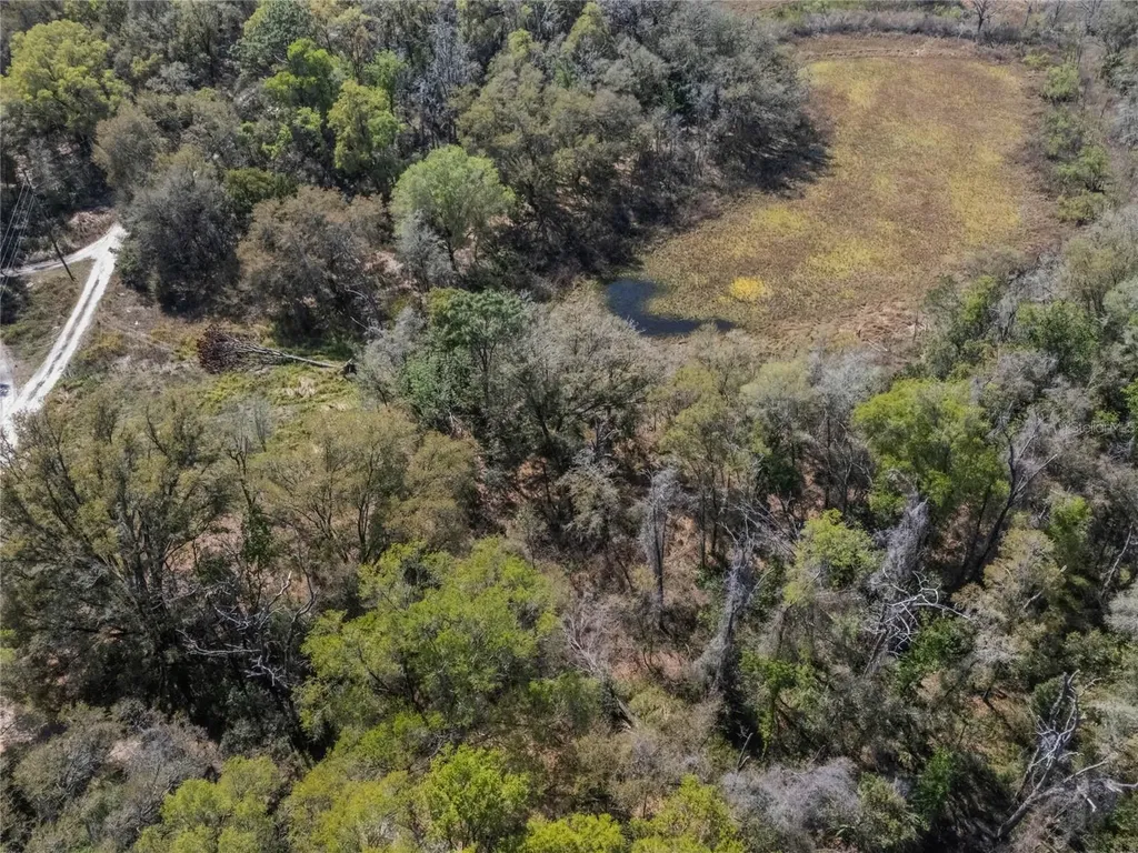 2208 Eisenhower Street Inverness FL 34453