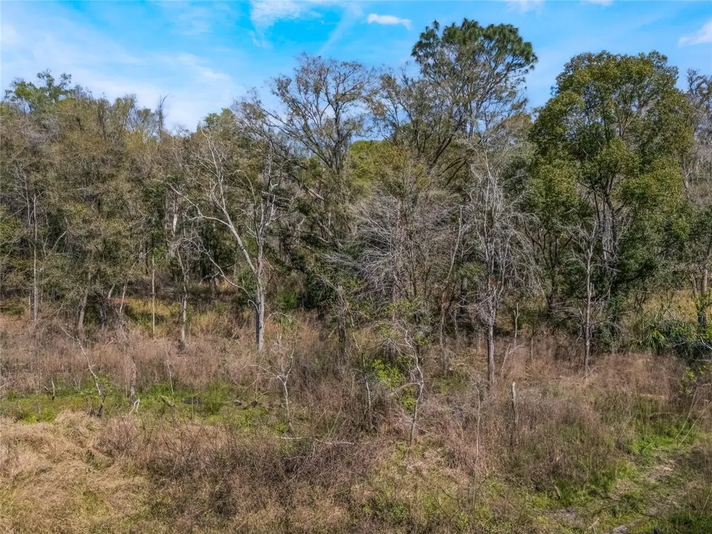 2208 Eisenhower Street Inverness FL 34453