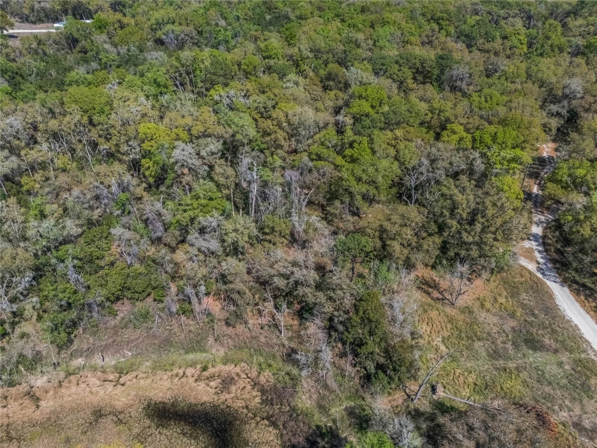 2208 Eisenhower Street Inverness FL 34453