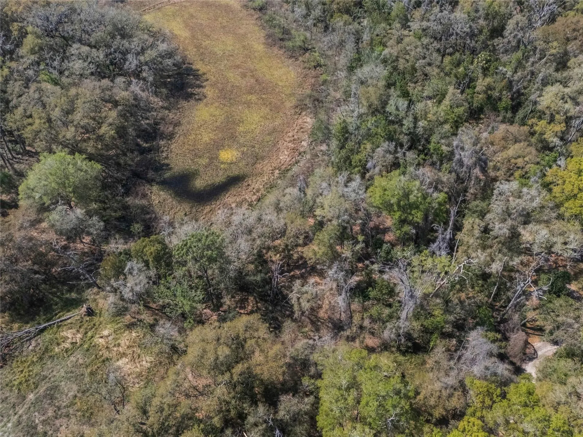 2208 Eisenhower Street Inverness FL 34453