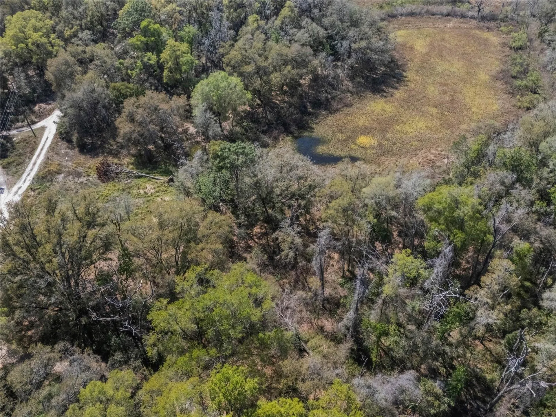 2208 Eisenhower Street Inverness FL 34453