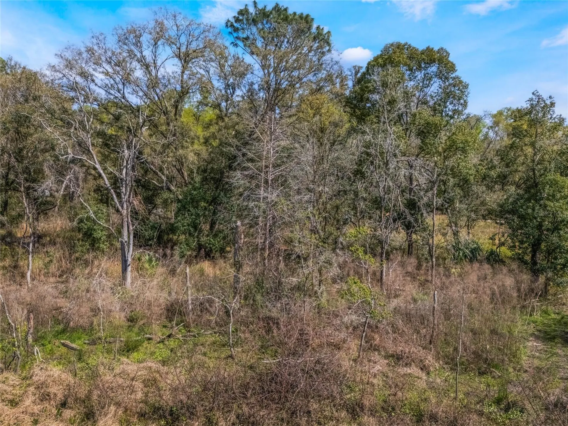 2208 Eisenhower Street Inverness FL 34453