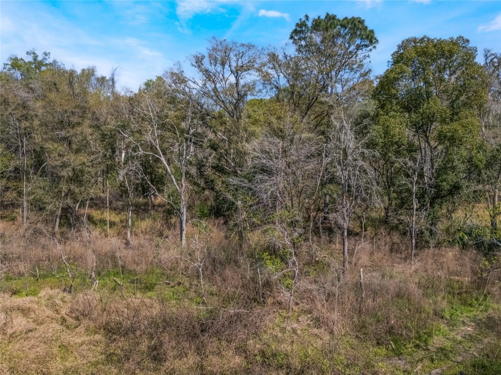 2208 Eisenhower Street Inverness FL 34453