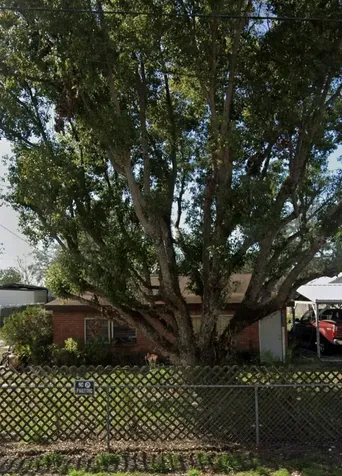 405 Delia Street Wimauma FL 33598