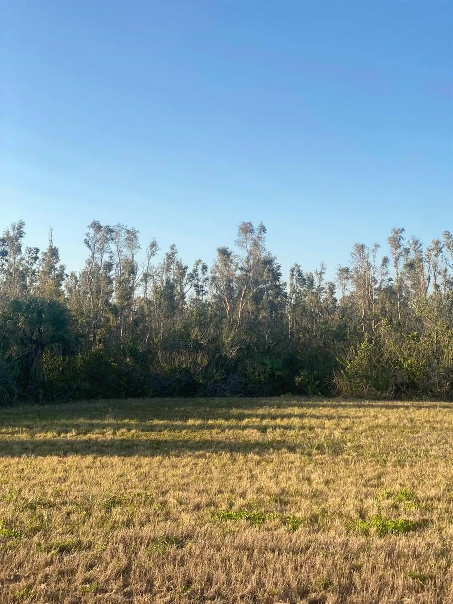 14420 Burbank Place Placida FL 33946