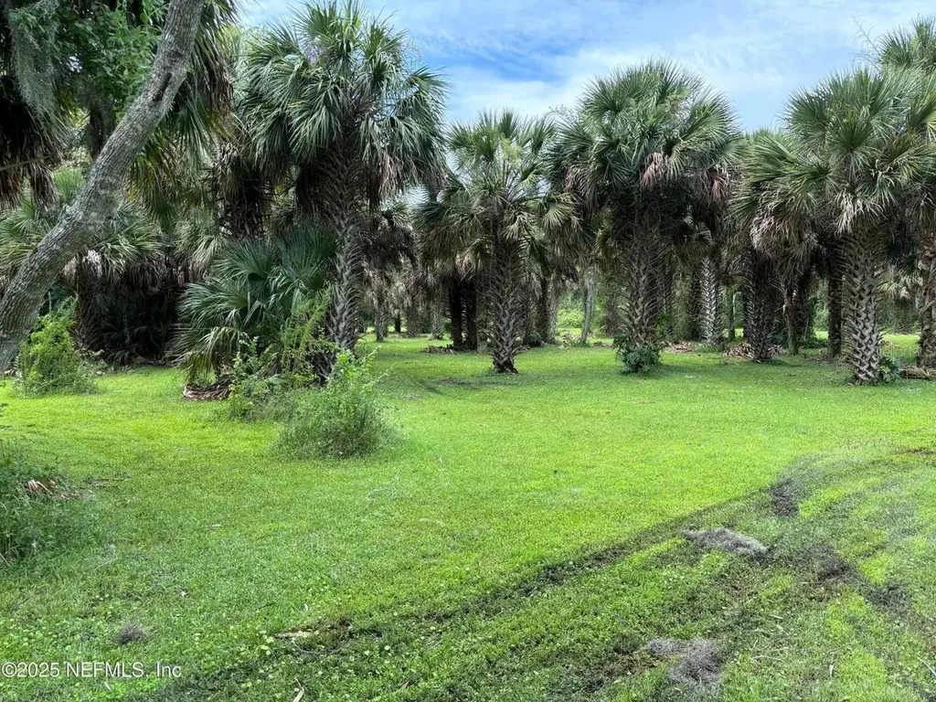 6001 Bird Island Drive Lady Lake FL 32159