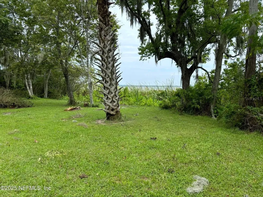 6001 Bird Island Drive Lady Lake FL 32159