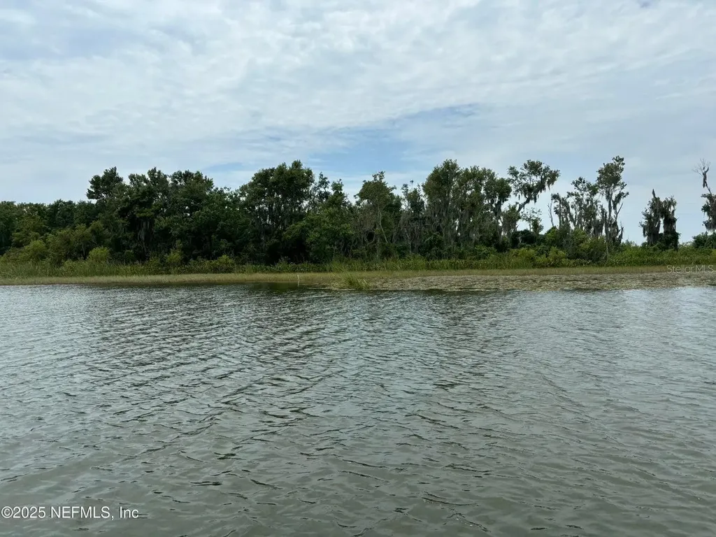 6001 Bird Island Drive Lady Lake FL 32159