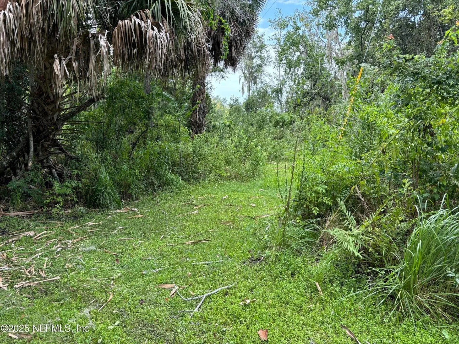 6001 Bird Island Drive Lady Lake FL 32159