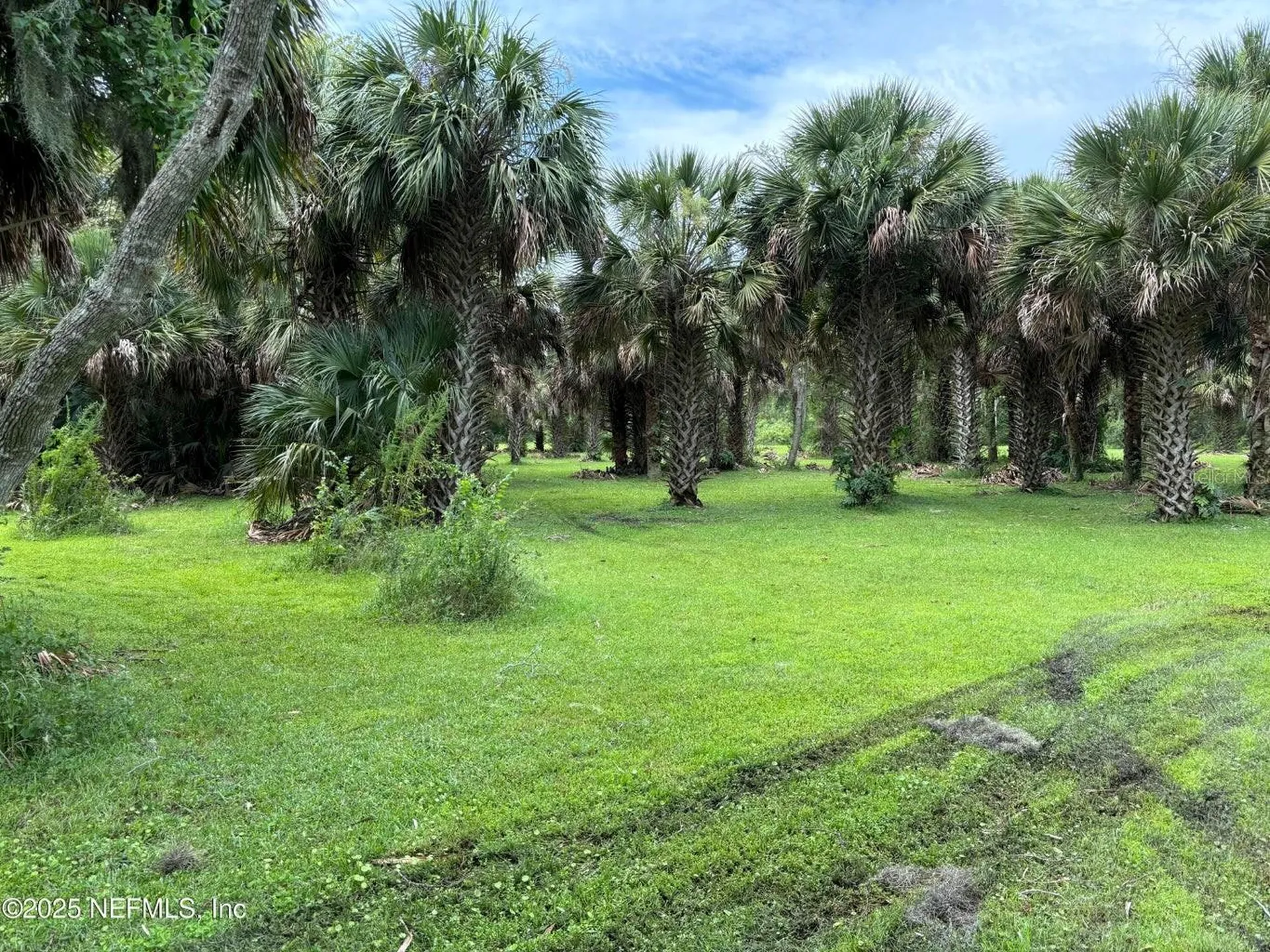 6001 Bird Island Drive Lady Lake FL 32159