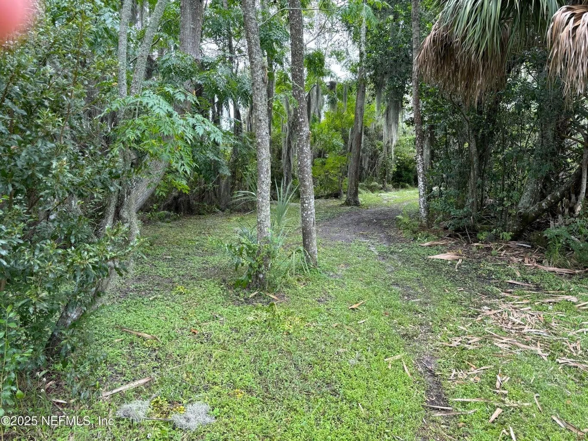 6001 Bird Island Drive Lady Lake FL 32159