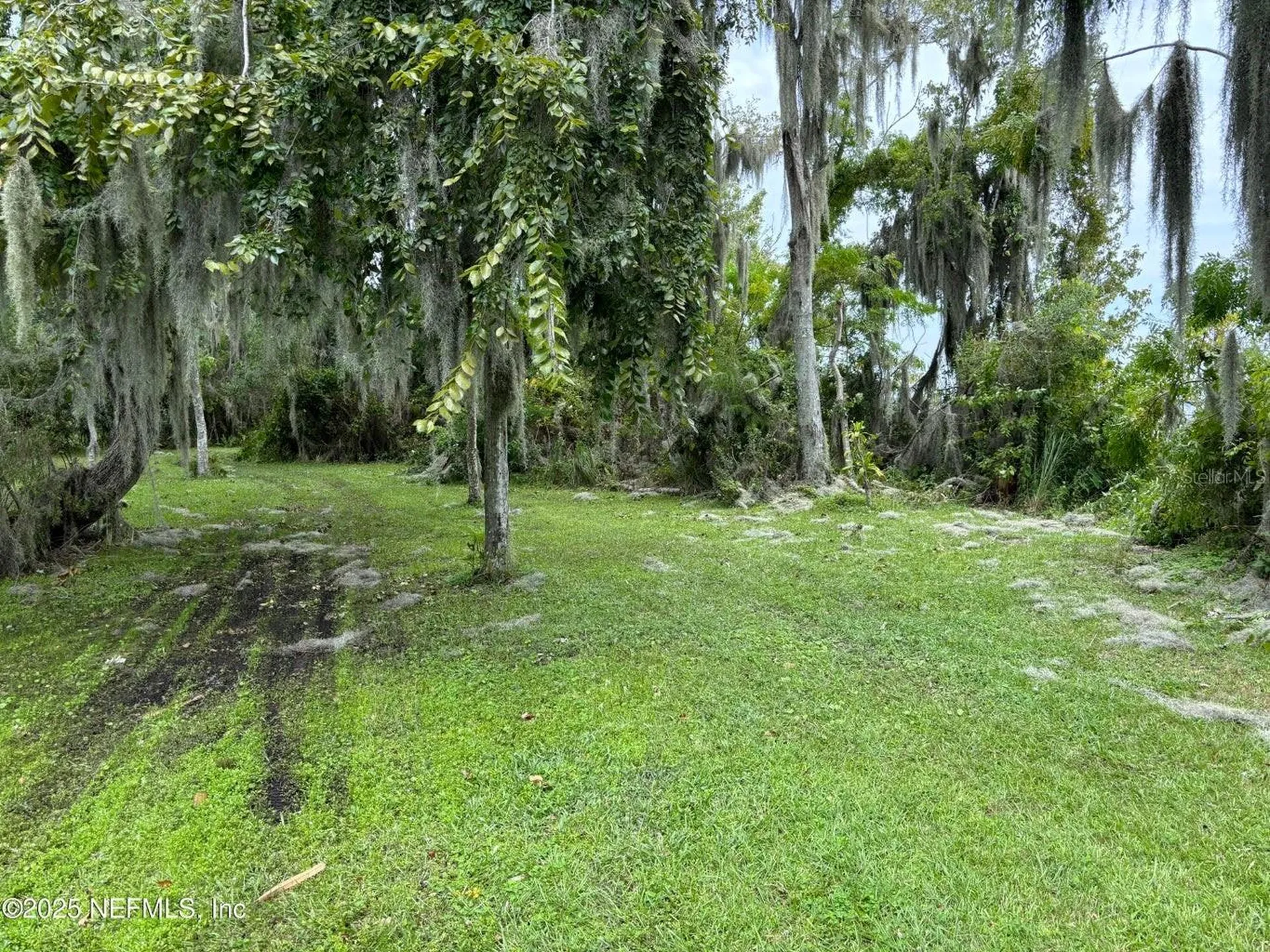 6001 Bird Island Drive Lady Lake FL 32159