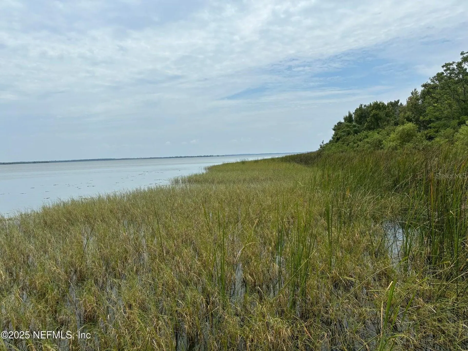 6001 Bird Island Drive Lady Lake FL 32159