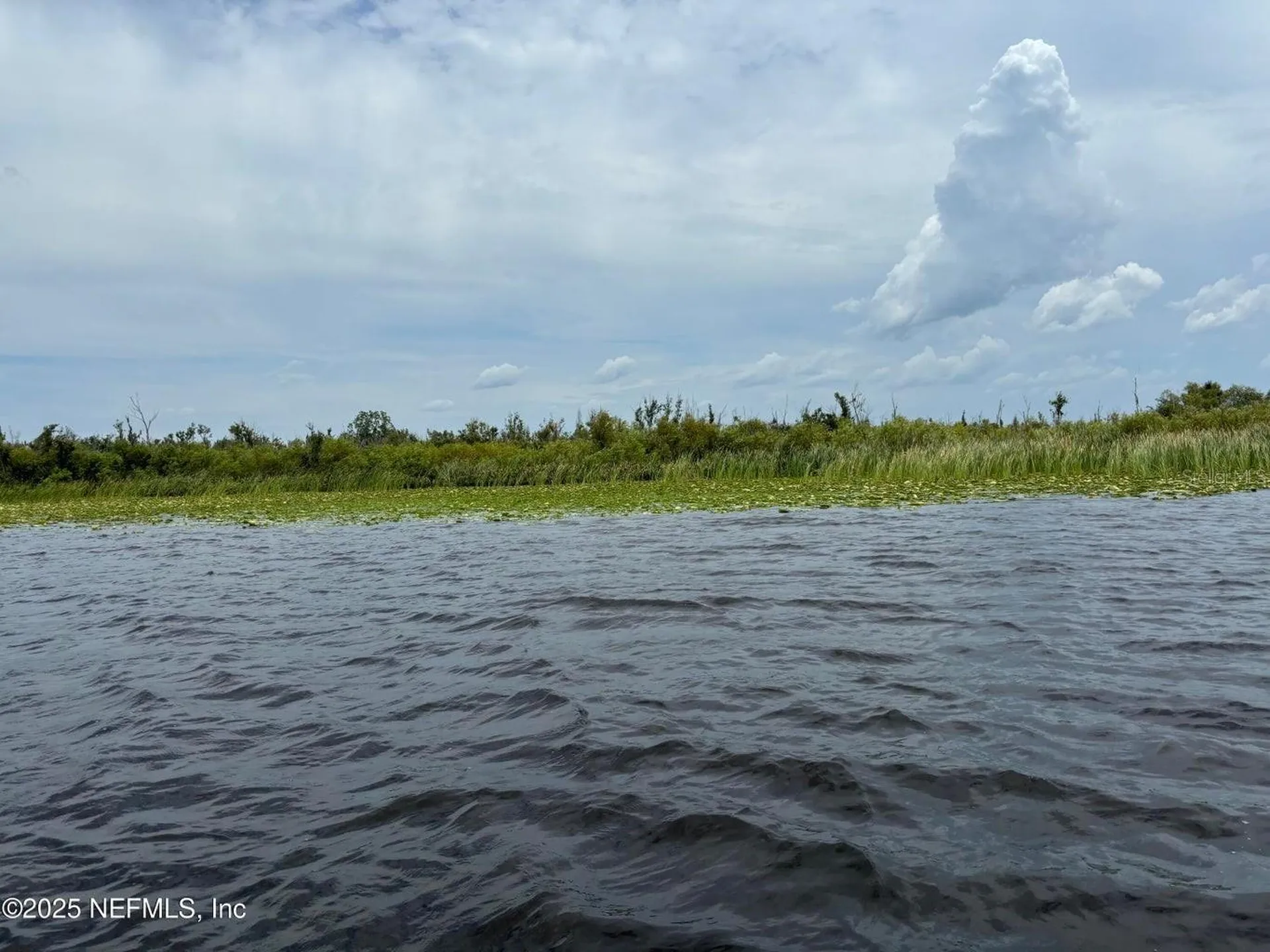 6001 Bird Island Drive Lady Lake FL 32159