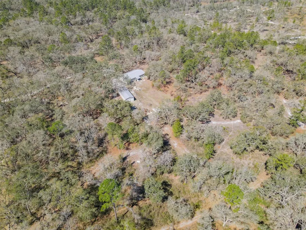 3949 184th Street Wellborn FL 32094