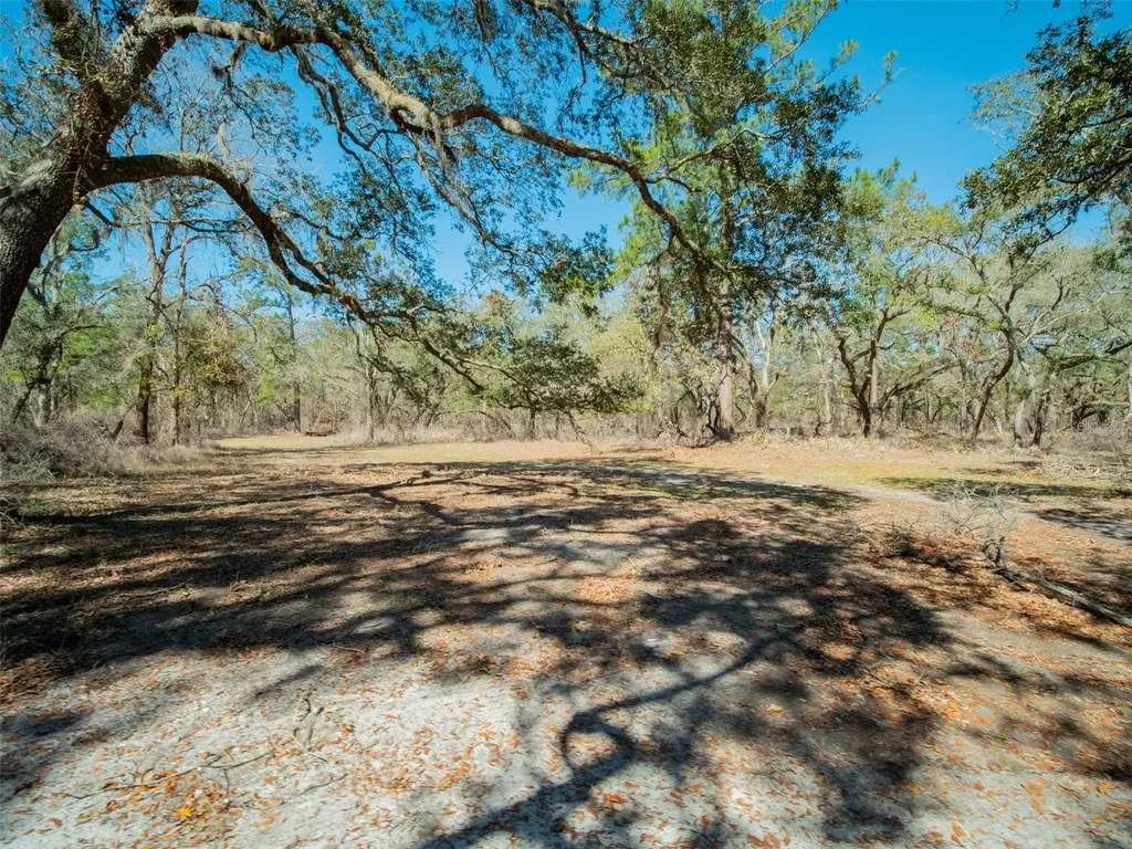 3949 184th Street Wellborn FL 32094