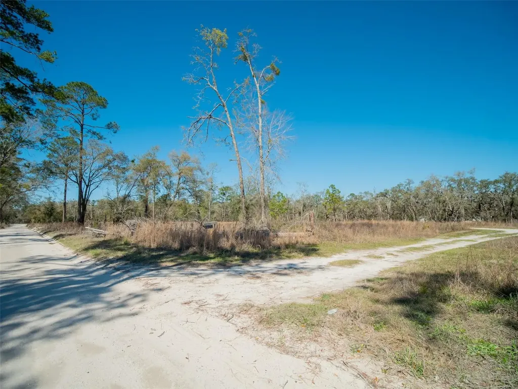 3949 184th Street Wellborn FL 32094