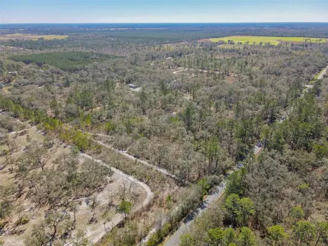 3949 184th Street Wellborn FL 32094