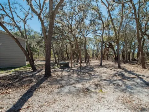 3949 184th Street Wellborn FL 32094
