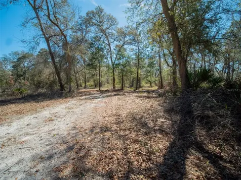 3949 184th Street Wellborn FL 32094