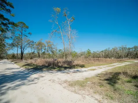 3949 184th Street Wellborn FL 32094