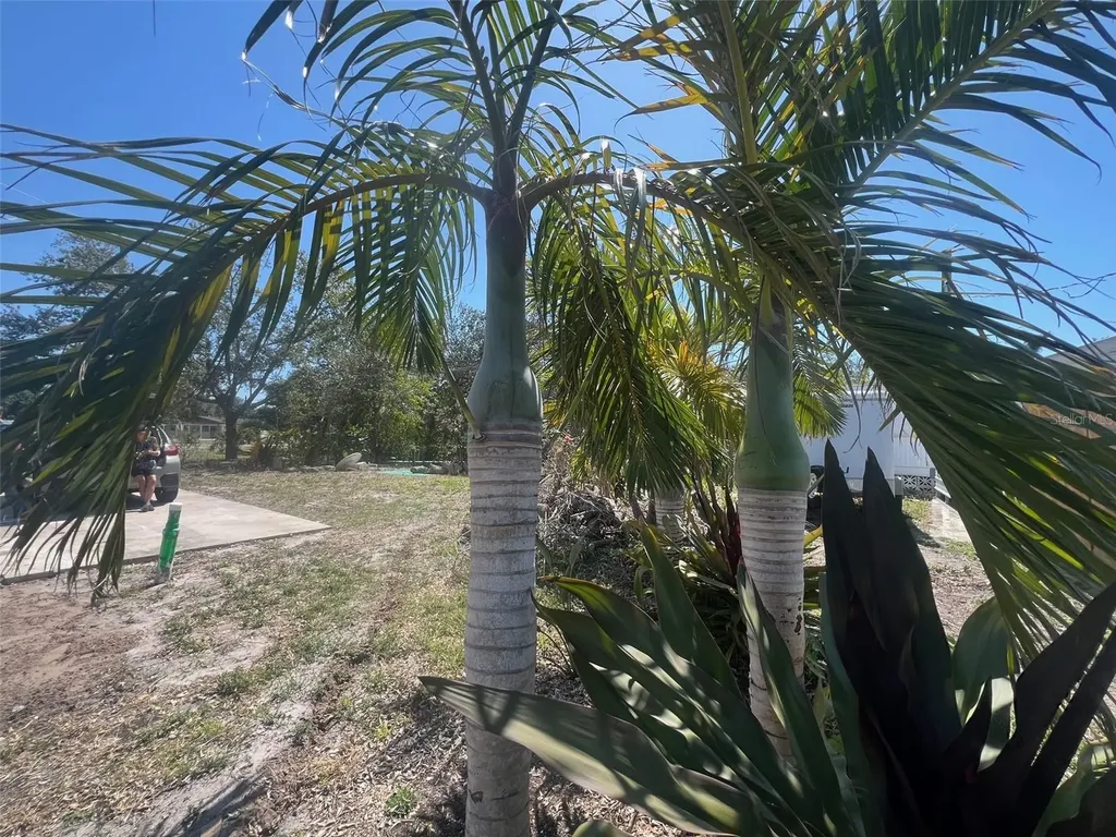 321 Ravenna Street N Nokomis FL 34275