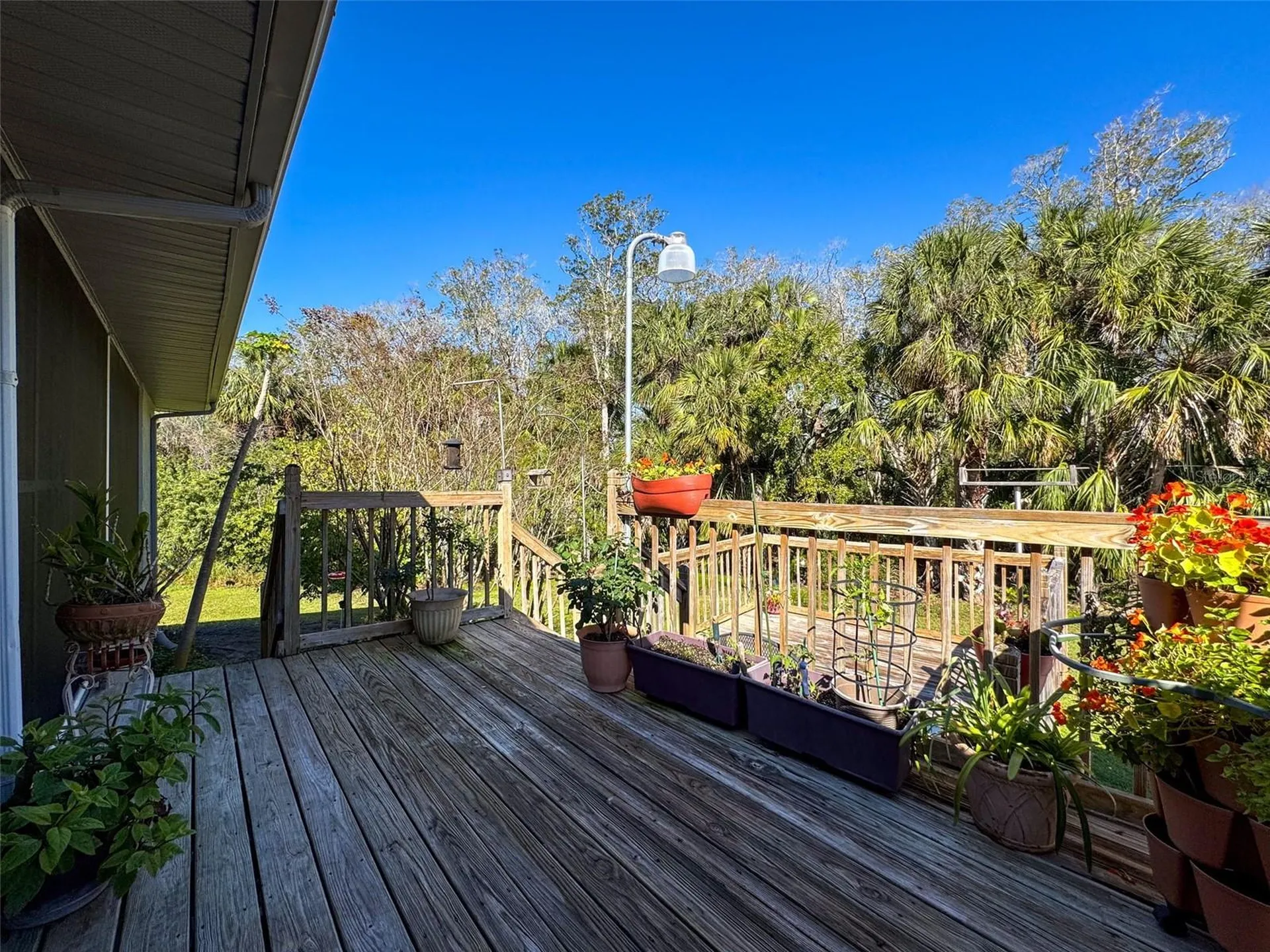 8437 Indies Drive Hudson FL 34667