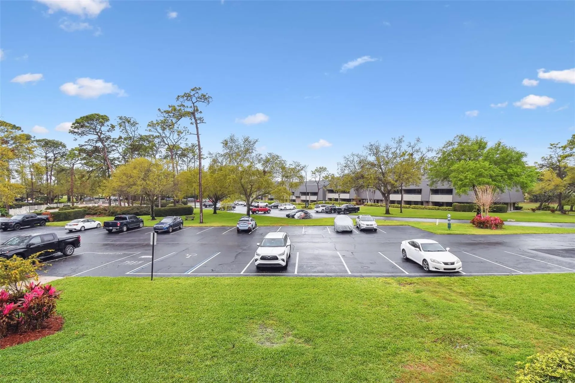 36750 Us 19 N Palm Harbor FL 34684