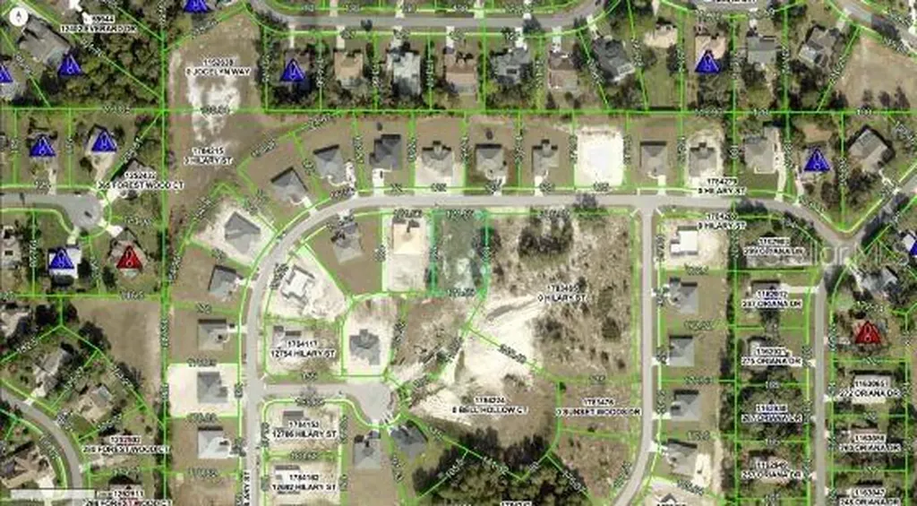 Hilary Street Spring Hill FL 34609