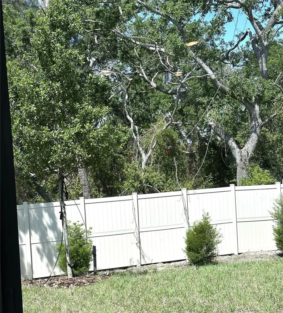 4649 Pleasant Avenue Palm Harbor FL 34683
