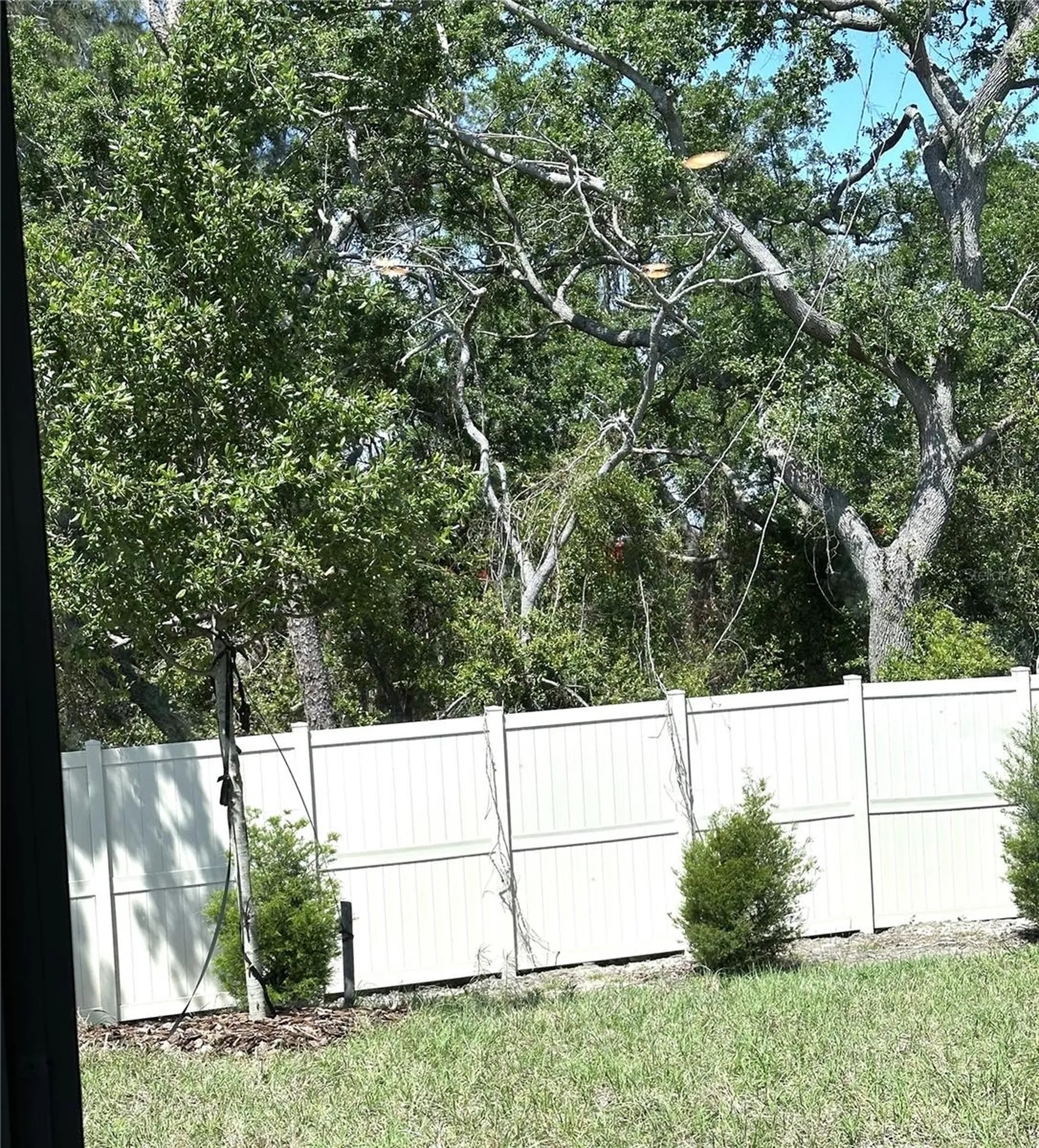 4649 Pleasant Avenue Palm Harbor FL 34683