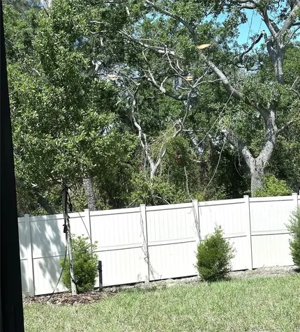 4649 Pleasant Avenue Palm Harbor FL 34683