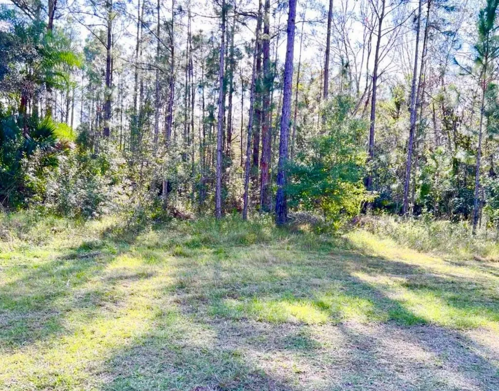 1011 Indian Lake Drive Indian Lake Estates FL 33855