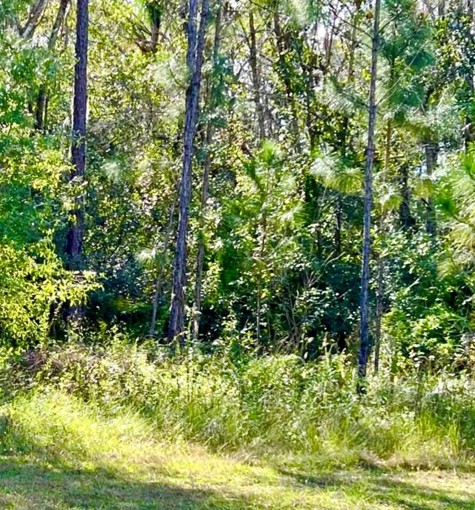 1011 Indian Lake Drive Indian Lake Estates FL 33855