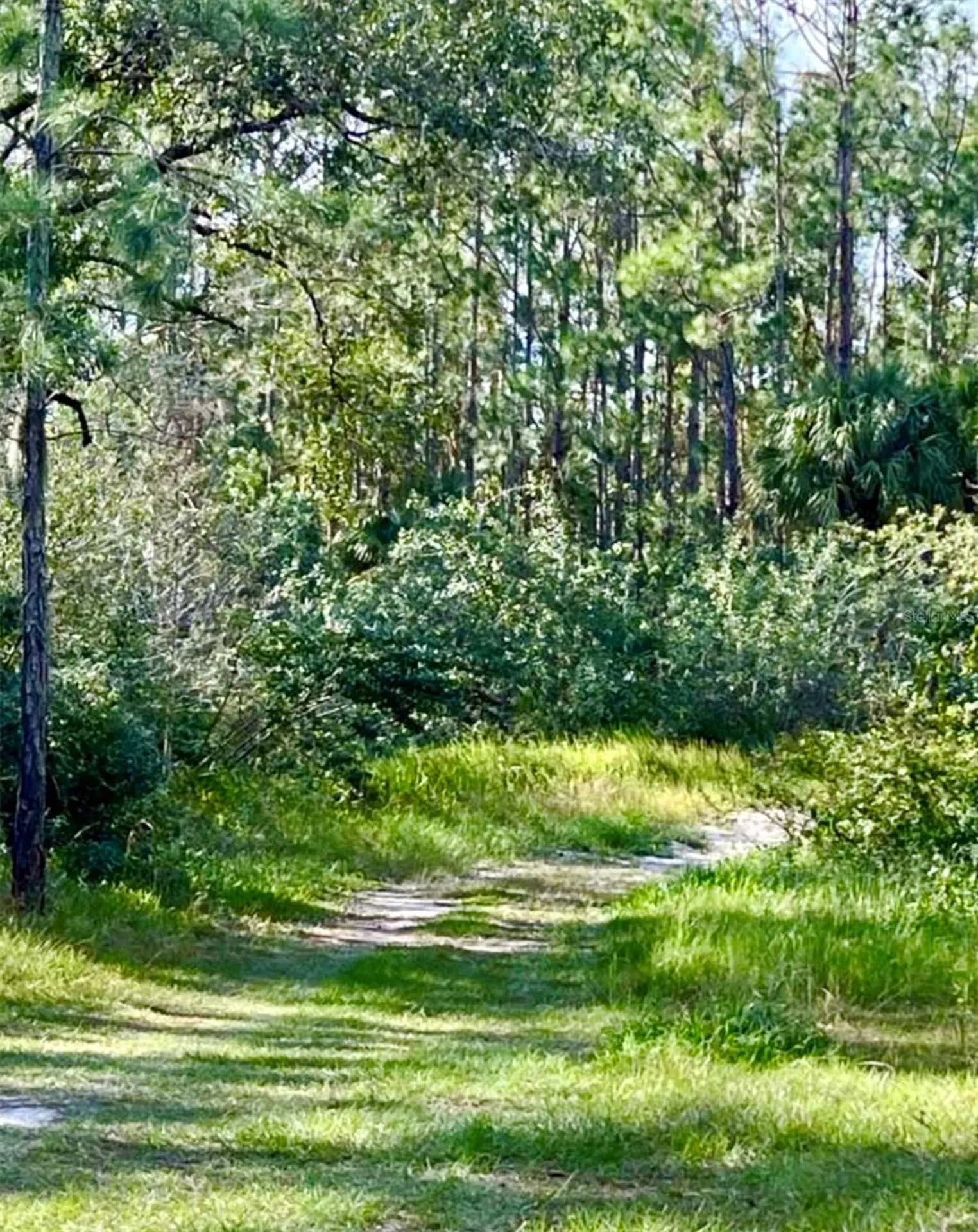 1011 Indian Lake Drive Indian Lake Estates FL 33855